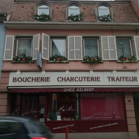 "Cote Nature", Appartement Cosy Au Coeur De Munster Мюнстер Экстерьер фото