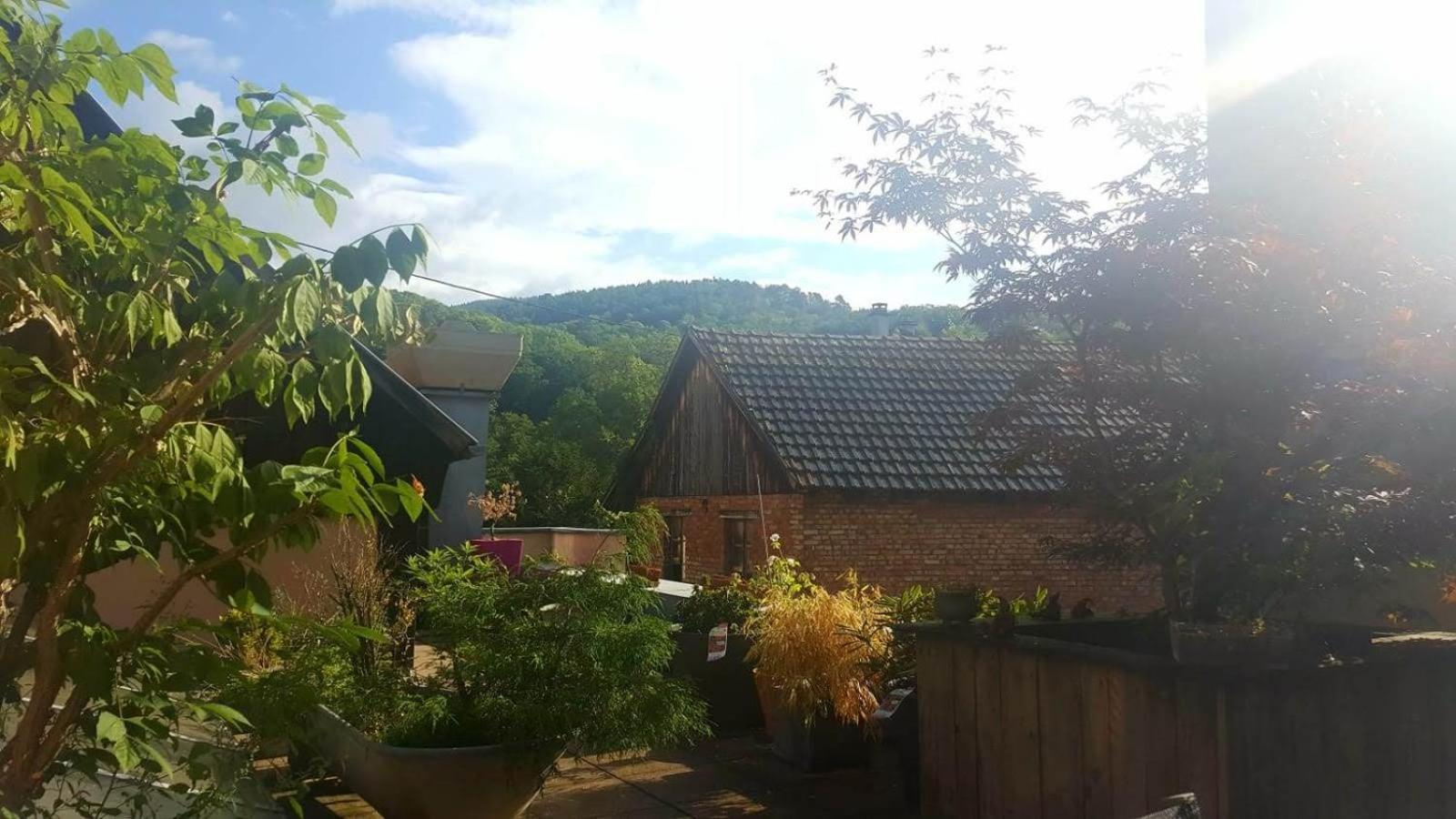 "Cote Nature", Appartement Cosy Au Coeur De Munster Мюнстер Экстерьер фото
